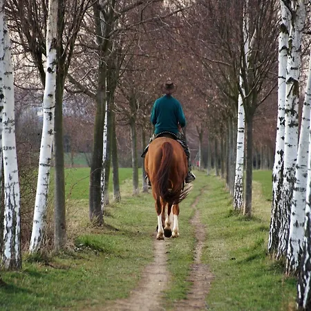 Sauna Escape, Waimes Nyaraló