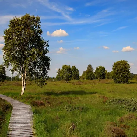 Sauna Escape, Waimes Nyaraló *