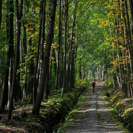 Sauna Escape, Waimes 펜션 *